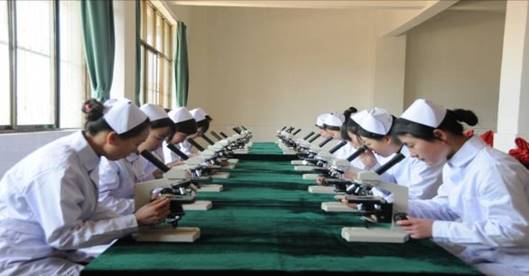 威廉希尔体育
