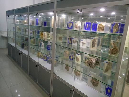 威廉希尔体育