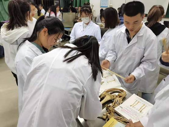 威廉希尔体育