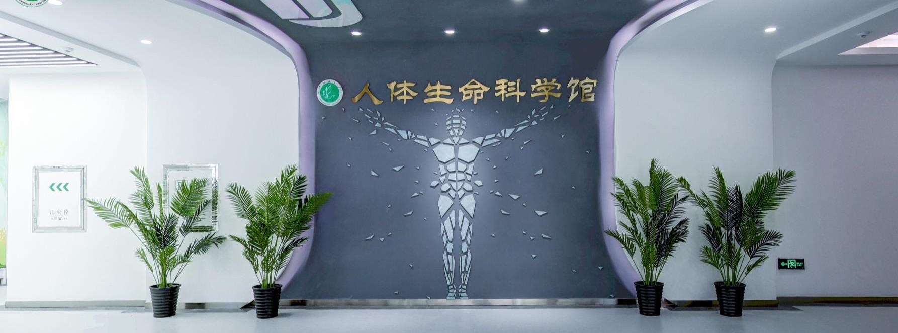 威廉希尔体育